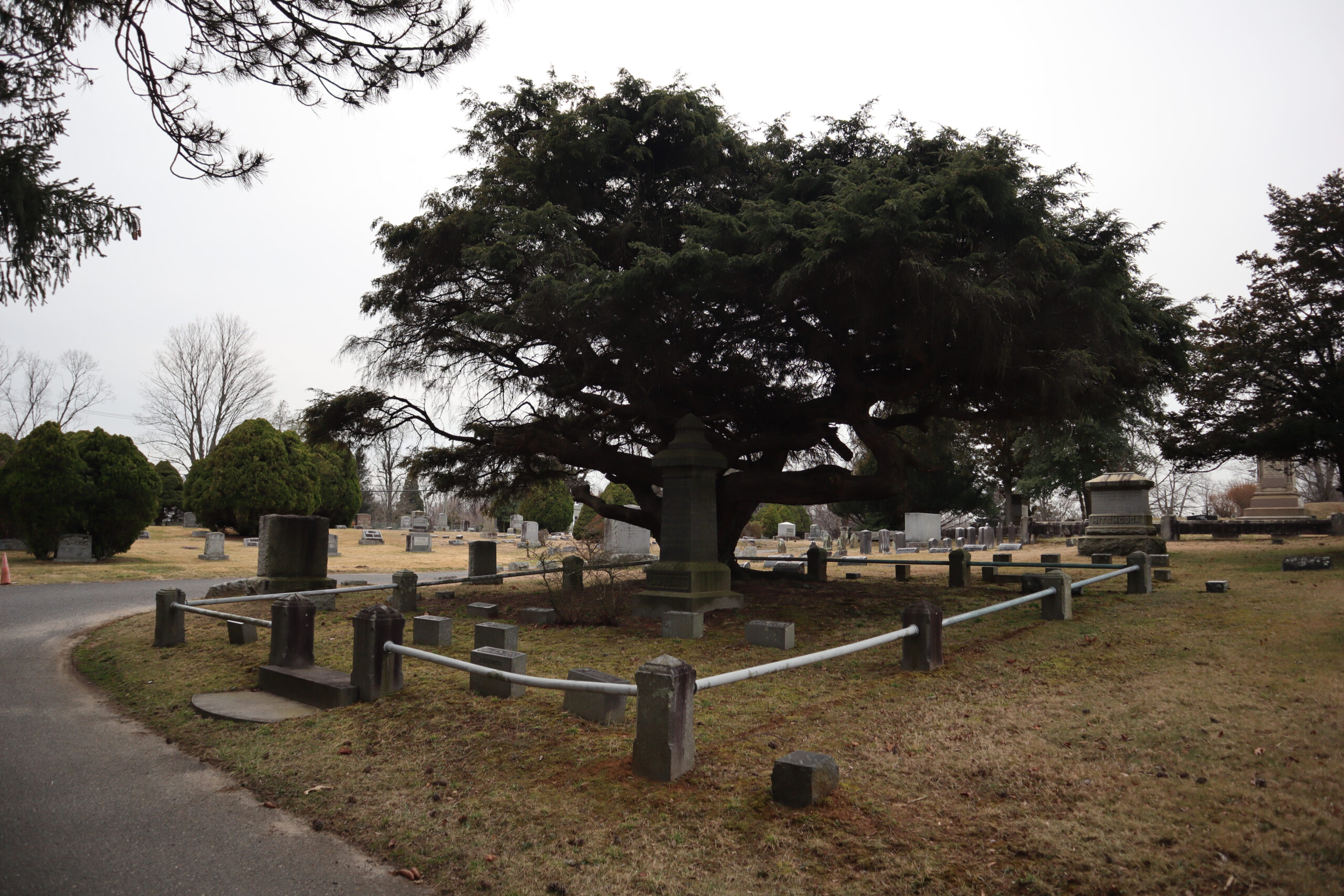 The Lovett family plot at Fair View Cemetery in Middletown has the remains of John T. Lovett and his wife Julia, and their three sons and three daughters. Photo credit John R. Barrows