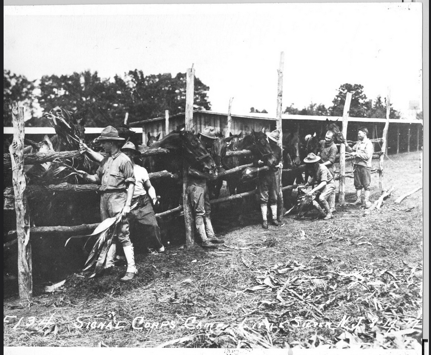 Signal Corps members feeding horses at Camp Little Silver.  Photo courtesy U.S. Army CECOM Public Affairs Office, public domain.