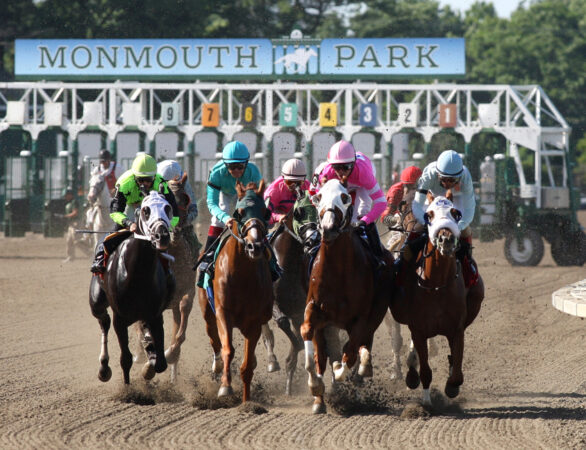 Photo of horses racing at modern Monmouth Park.
