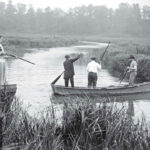 Photograph of men in a rowboat in Matawan Creek looking for sharks while women look on holding a shotgun.